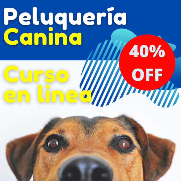 curso-peluqueria-canina-online-40_