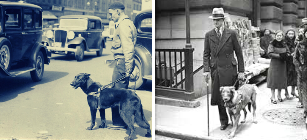 origen-perro-guia-lazarillo-para-ciego