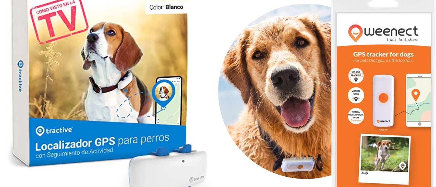 Tractive-vs-Weenect-Dogs-2-Cuál-es-el-mejor-collar-gps