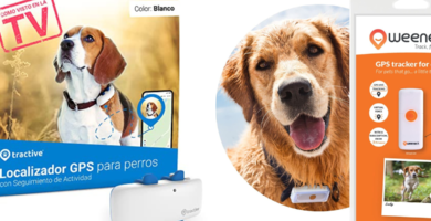 Tractive-vs-Weenect-Dogs-2-Cuál-es-el-mejor-collar-gps