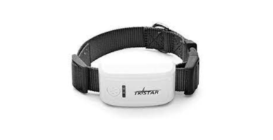 collares-gps-para-perros