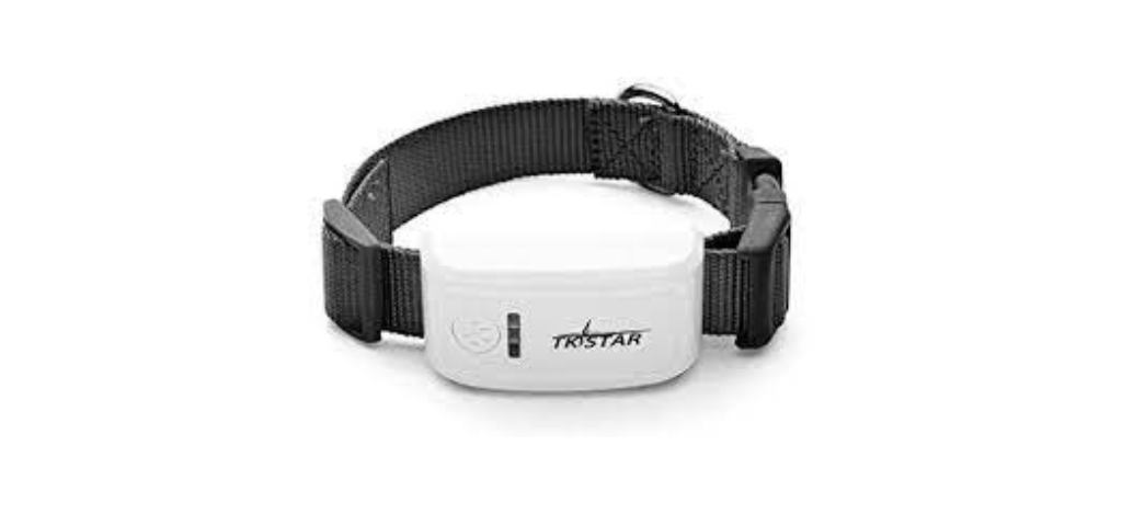 collares-gps-para-perros