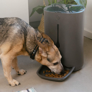navaris-dispensador-de-comida-para-perros-gatos-automático