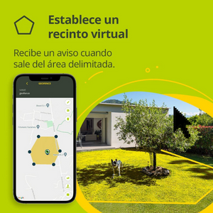 imagen-kipyy-evo-gps-cerca-virtual-1