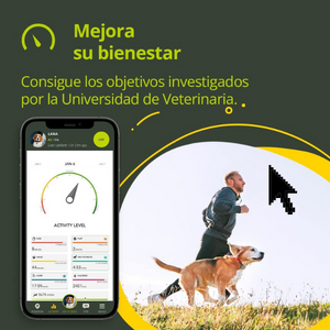 imagen-kipyy-evo-gps-mejora-tu-bienestar-1