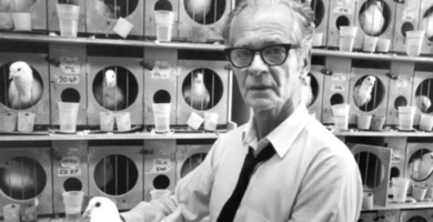 Burrhus-F-Skinner-Biografia-y-el-condicionamiento-operante