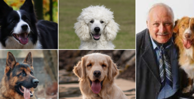 Stanley-Coren-La-Vida-y-la-Inteligencia-Canina