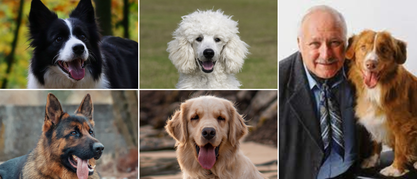 Stanley-Coren-La-Vida-y-la-Inteligencia-Canina