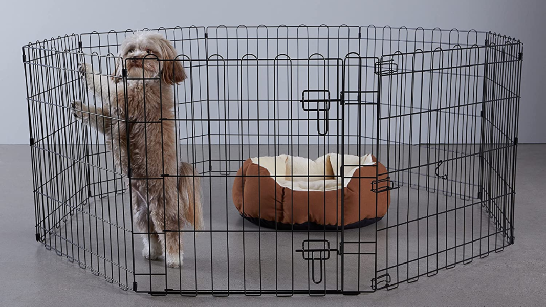 amazon-basics-parque-para-mascotas