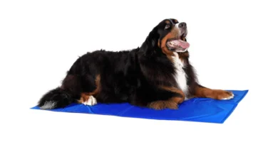 Lionto-esterilla-de-enfriamiento-para-mascotas