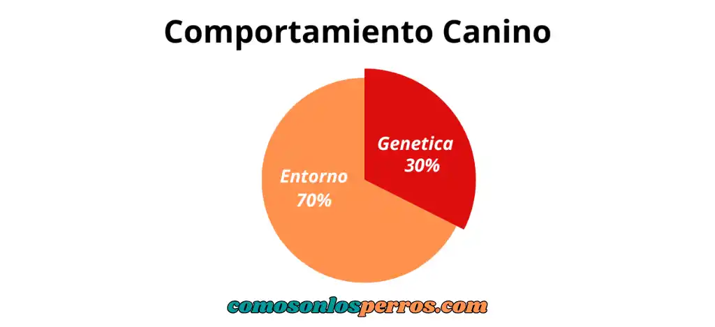 instintos-caninos-comportamiento-de-los-perros
