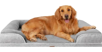 mejores-camas-para-perros