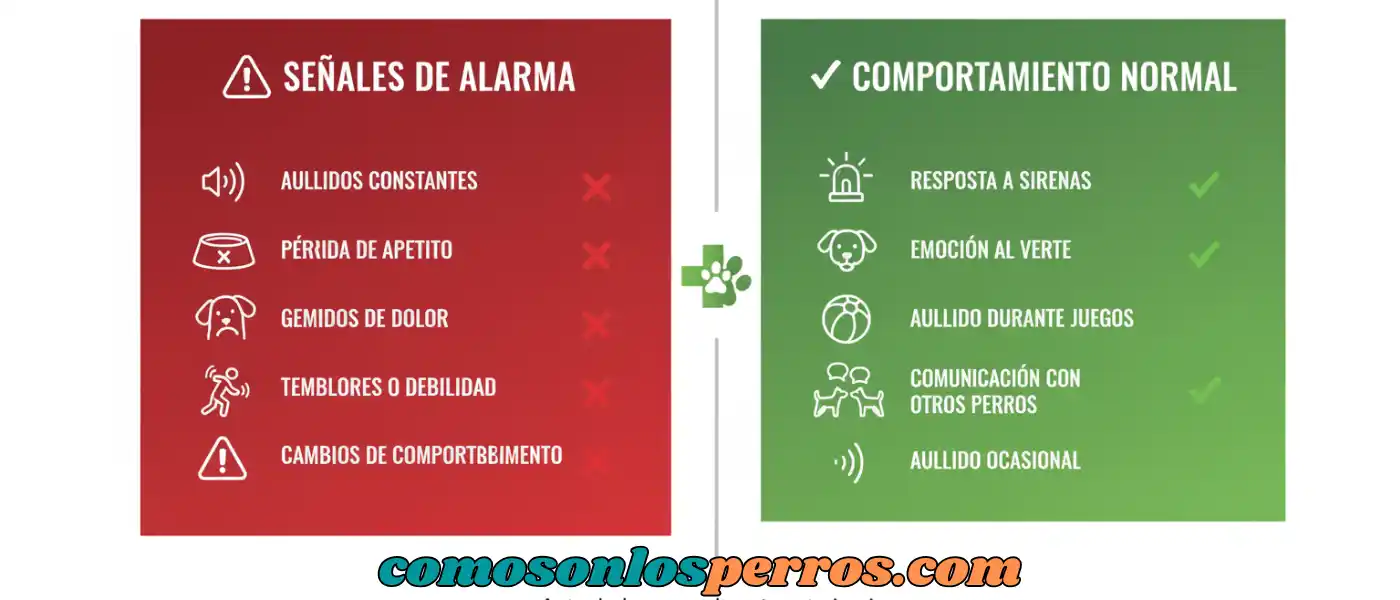 Cuando-preocuparse-y-cuando-es-algo-normal