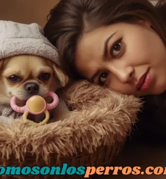 Tu-perro-no-es-tu-hijo-entiende-su-naturaleza-para-cuidarlo-mejor